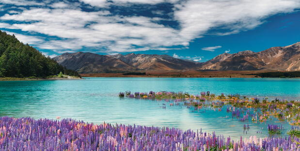 Neuseeland Landschaft