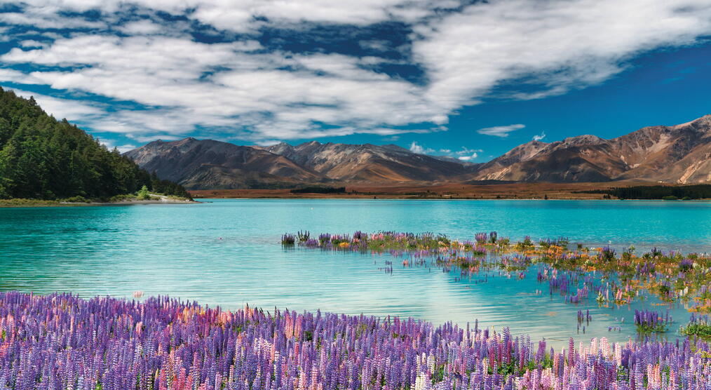 Neuseeland Landschaft