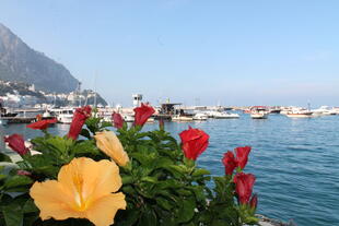 Hafen von Capri 