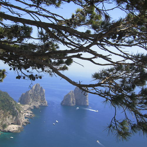 Ausblick auf Capri