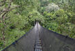 Canopy Walkway im Amazonas