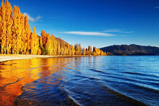 Lake Wanaka im Herbst 