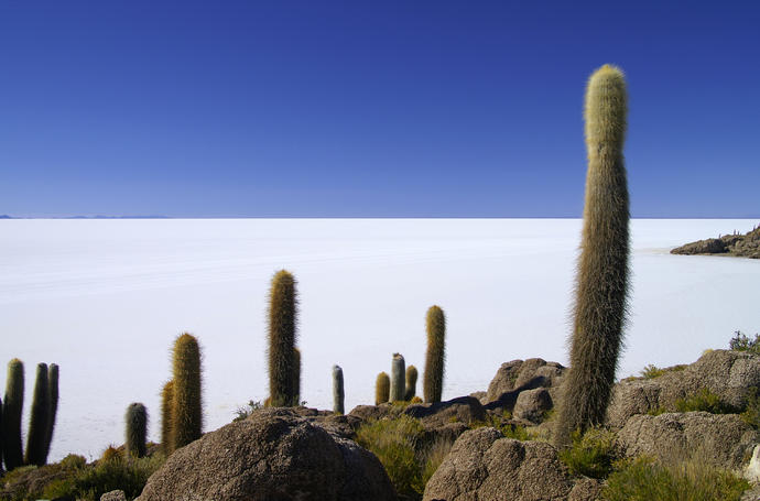 Uyuni Salzwüste in Bolivien