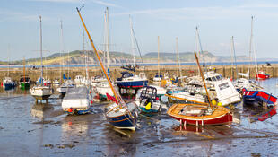 Boote im Hafen, Lyme Regis 