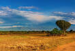 Landschaft im Queen Elizabeth Nationalpark