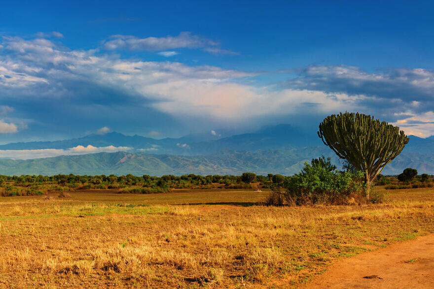 Landschaft im Queen Elizabeth Nationalpark 