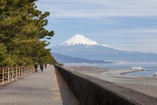 Strand von Miho no Matsubara