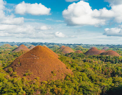 Chocolate Hills in Bohol auf den Philippinen