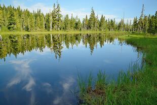 Strathcona Park 