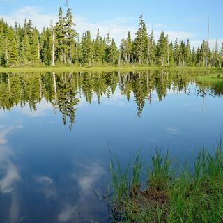 Strathcona Park 