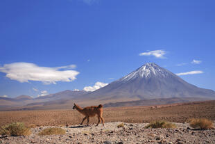 Atacamawüste
