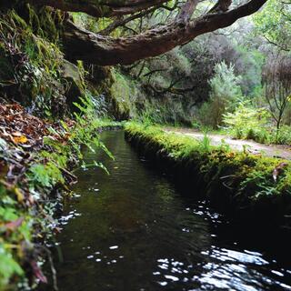 Typische Levada