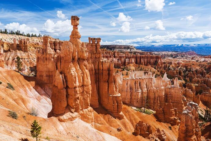 Blick auf die Hoodoos im Bryce Canyon Nationalpark auf einer USA Reise 