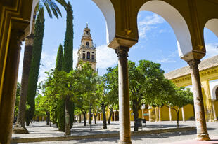 Mezquita- Catedral in Córdoba