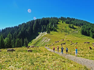 Wanderung zur Alpspitzbahn