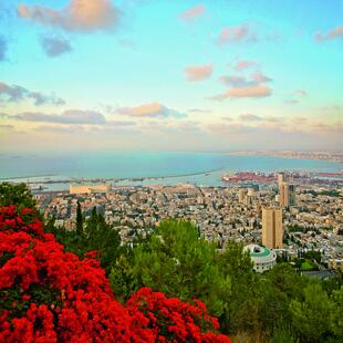 Blick ueber Haifa