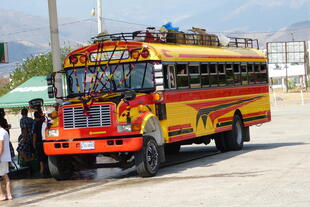 Bus