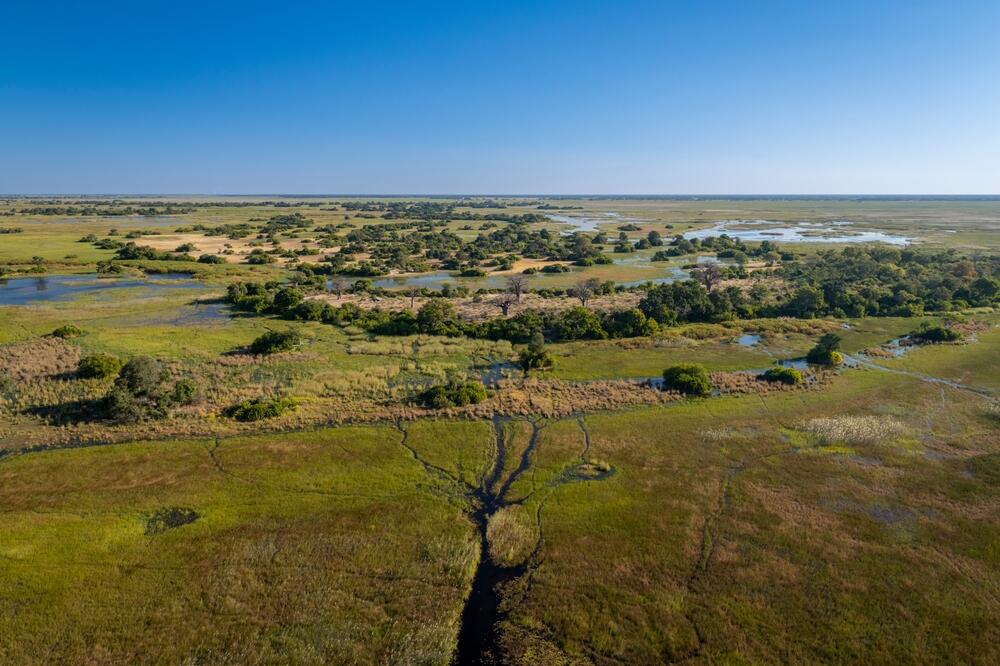 Okavango-Delta