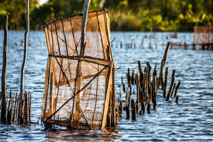 Reuse am Canal des Pangalanes