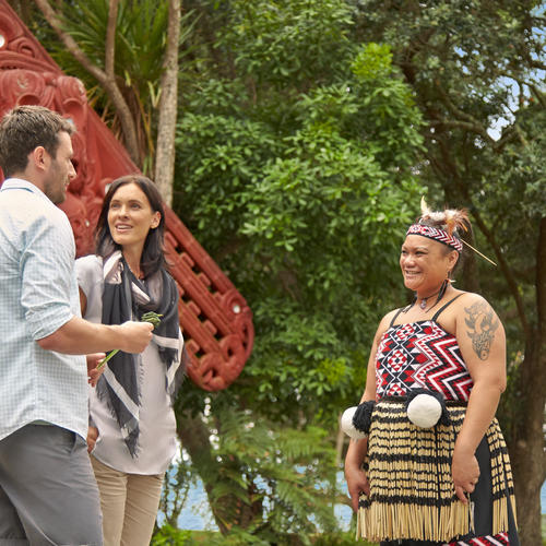 Besuch bei den Maoris 