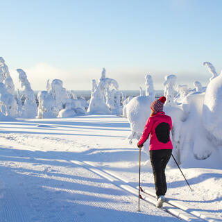 Langlauf in Lappland