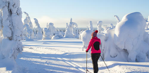 Langlauf in Lappland