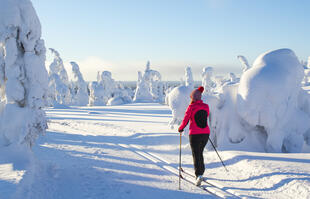 Langlauf in Lappland