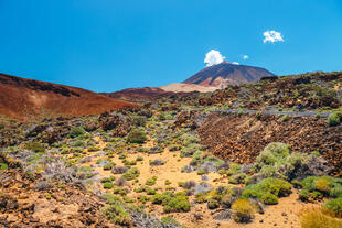 Las Cañadas del Teide