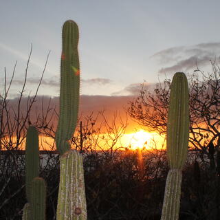 Sonnenuntergang auf den Galapagosinseln