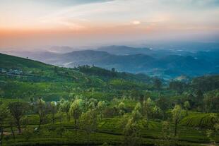 Hochland von Sri Lanka