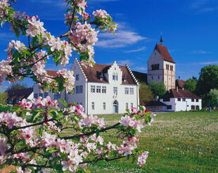 Kloster und Münster Mittelzell
