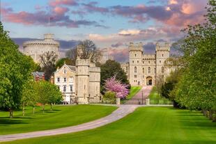 Windsor
