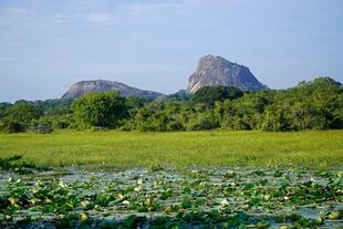 Yala-Nationalpark 