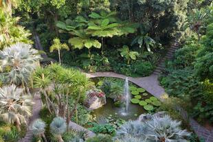 Berühmter Garten La Mortella