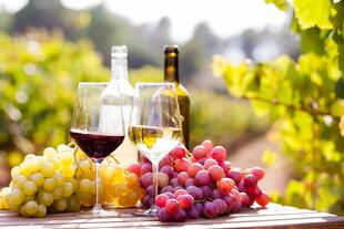 zwei Gläser Wein 