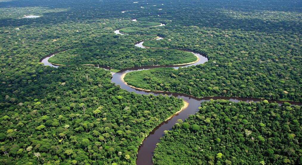 Amazonas