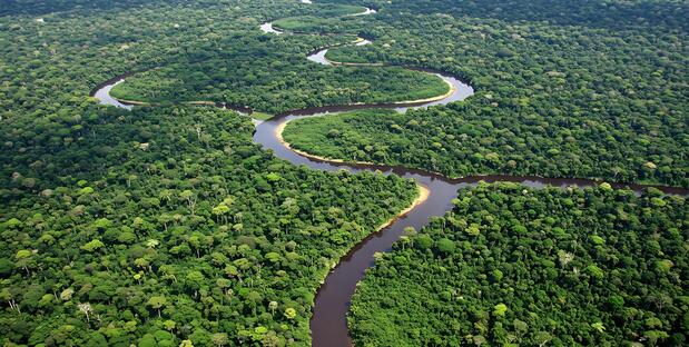 Amazonas