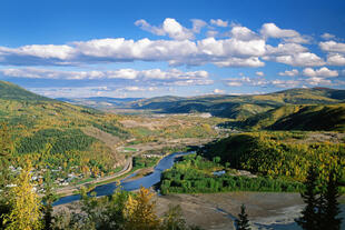 Bonanza Creek 