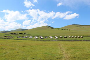 Ger Camp in der Mongolei