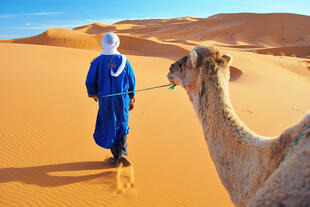 Kamelführer in der Wüste