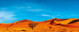 Sossusvlei Wüste