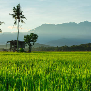 Kota Kinabalu 