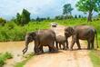 Udawalawe Nationalpark