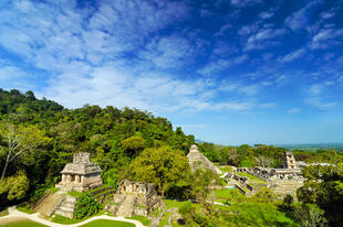 Blick über Palenque