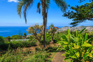 Botanischer Garten Funchal 