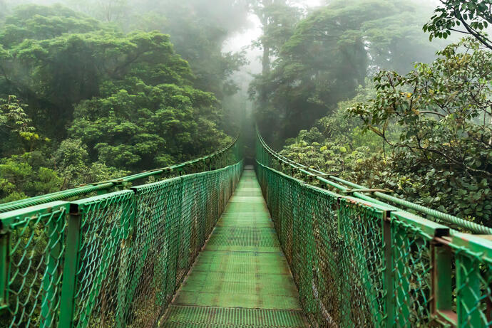Die Hängebrücke im Monteverde Nebelwald auf einer Costa Rica Reise