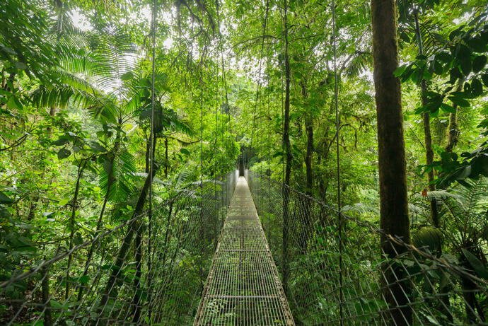 Monteverde Hängebrücke