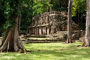 Maya Ruine im Wald