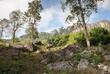 Berglandschaft am Pekoe Trail