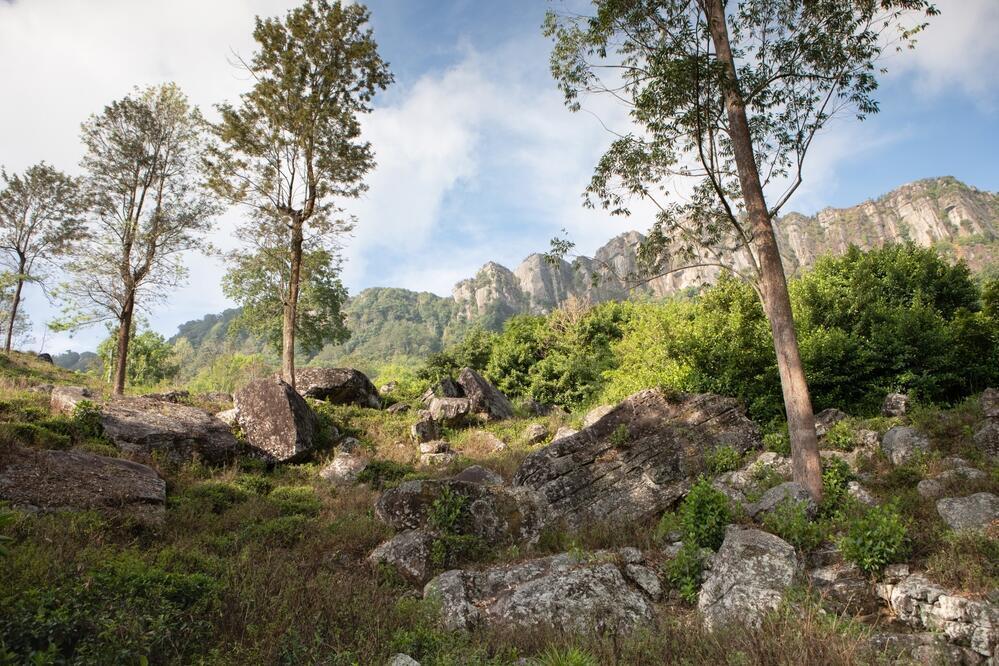 Berglandschaft am Pekoe Trail